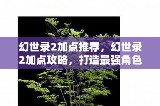 幻世录2加点推荐，幻世录2加点攻略，打造最强角色，征服幻世大陆