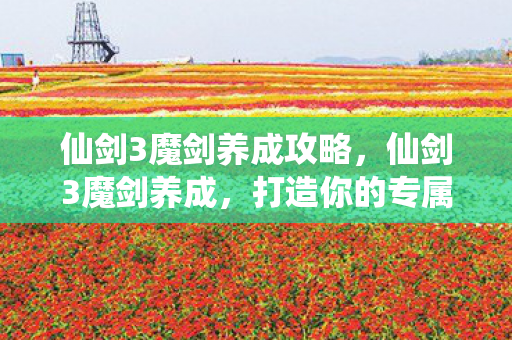 仙剑3魔剑养成攻略，仙剑3魔剑养成，打造你的专属神器