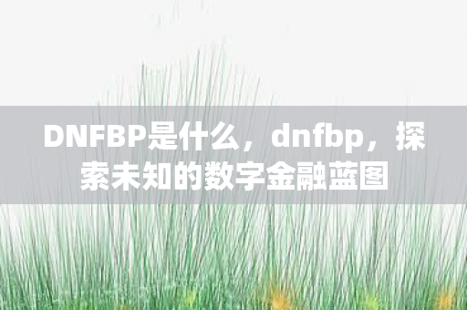 DNFBP是什么，dnfbp，探索未知的数字金融蓝图