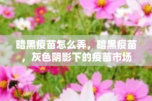 暗黑疫苗怎么弄，暗黑疫苗，灰色阴影下的疫苗市场