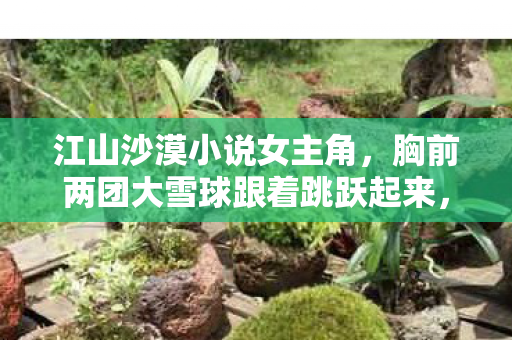 江山沙漠小说女主角，胸前两团大雪球跟着跳跃起来，探索游戏世界的奇妙之旅