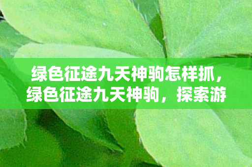 绿色征途九天神驹怎样抓，绿色征途九天神驹，探索游戏中的奇幻之旅