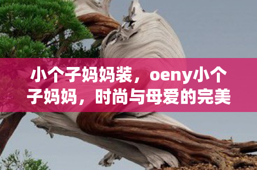 小个子妈妈装，oeny小个子妈妈，时尚与母爱的完美融合