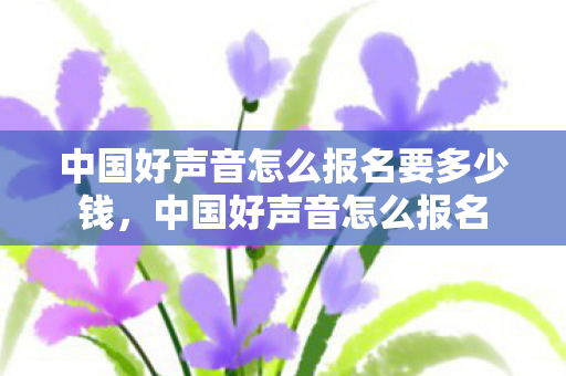中国好声音怎么报名要多少钱，中国好声音怎么报名