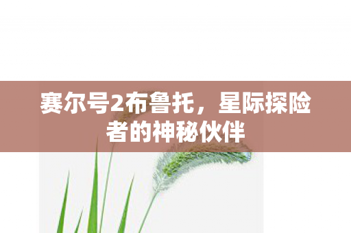 赛尔号2布鲁托，星际探险者的神秘伙伴