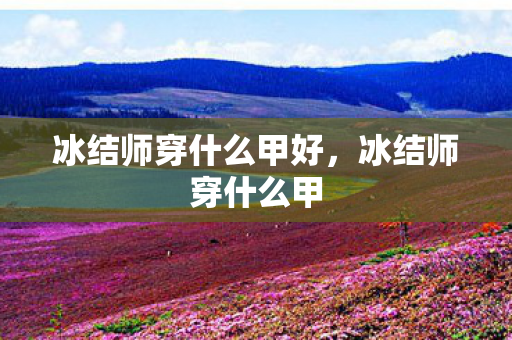 冰结师穿什么甲好，冰结师穿什么甲