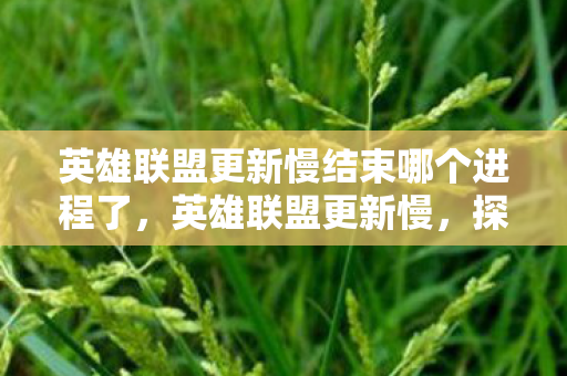英雄联盟更新慢结束哪个进程了，英雄联盟更新慢，探讨背后的原因与解决方案
