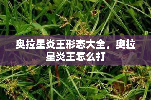 奥拉星炎王形态大全，奥拉星炎王怎么打