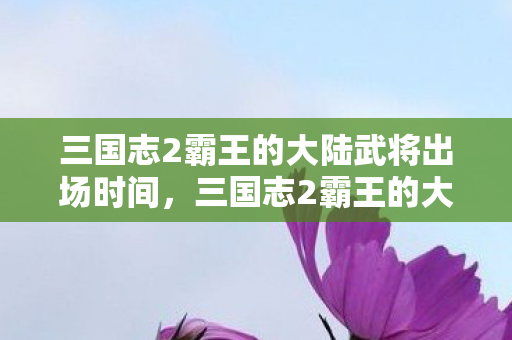 三国志2霸王的大陆武将出场时间，三国志2霸王的大陆，武将风云录