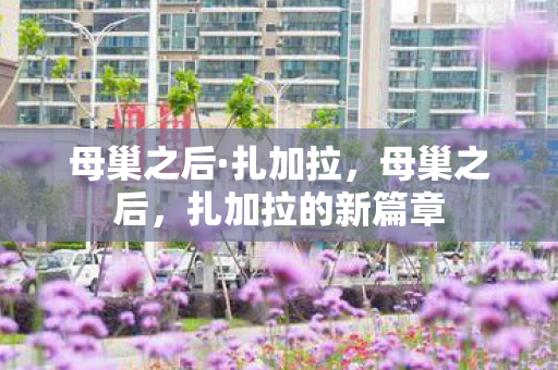 母巢之后·扎加拉，母巢之后，扎加拉的新篇章