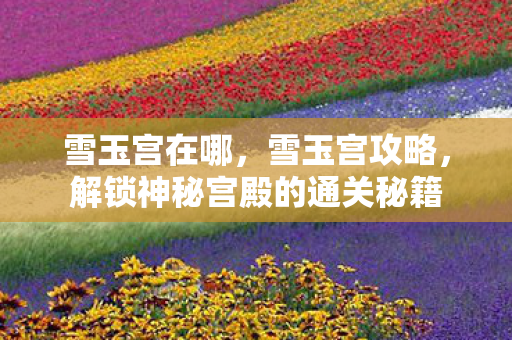 雪玉宫在哪，雪玉宫攻略，解锁神秘宫殿的通关秘籍