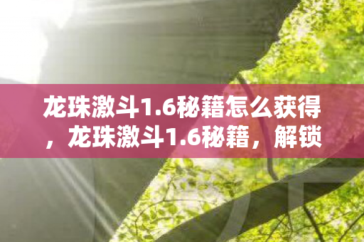 龙珠激斗1.6秘籍怎么获得，龙珠激斗1.6秘籍，解锁战斗新境界