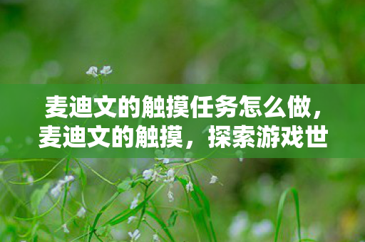 麦迪文的触摸任务怎么做，麦迪文的触摸，探索游戏世界的无限可能