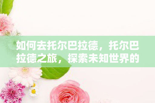 如何去托尔巴拉德，托尔巴拉德之旅，探索未知世界的奇妙旅程