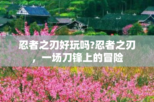 忍者之刃好玩吗?忍者之刃，一场刀锋上的冒险