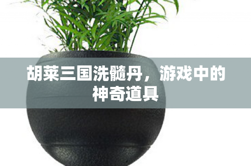 胡莱三国洗髓丹，游戏中的神奇道具