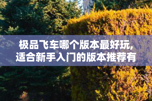 极品飞车哪个版本最好玩,适合新手入门的版本推荐有吗?极品飞车，巅峰之作，版本解析