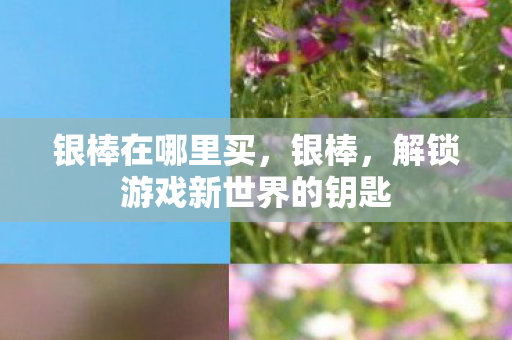 银棒在哪里买，银棒，解锁游戏新世界的钥匙