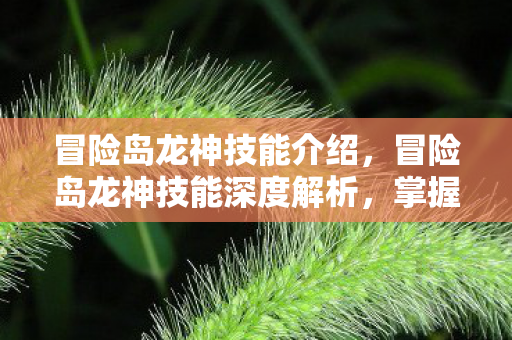 冒险岛龙神技能介绍，冒险岛龙神技能深度解析，掌握龙之力，驰骋冒险岛