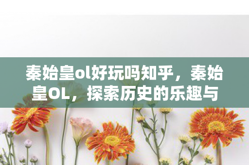 秦始皇ol好玩吗知乎，秦始皇OL，探索历史的乐趣与策略的挑战