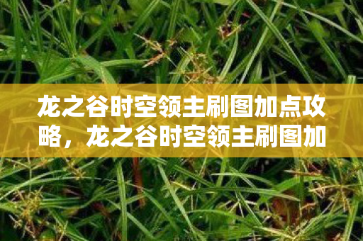 龙之谷时空领主刷图加点攻略，龙之谷时空领主刷图加点攻略
