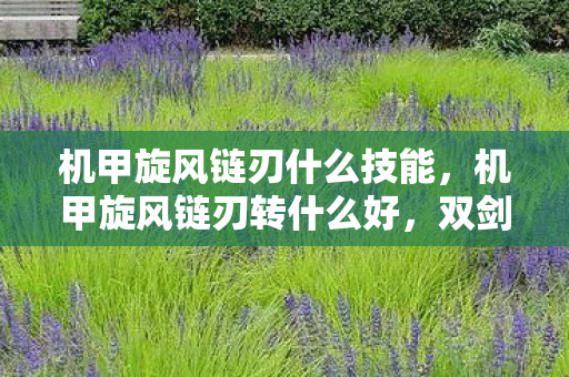 机甲旋风链刃什么技能，机甲旋风链刃转什么好，双剑或重剑？