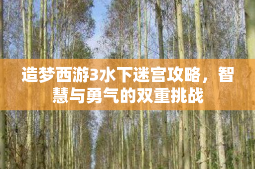 造梦西游3水下迷宫攻略，智慧与勇气的双重挑战