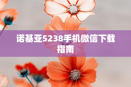 诺基亚5238手机微信下载指南