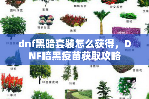 dnf黑暗套装怎么获得，DNF暗黑疫苗获取攻略