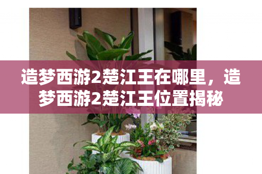 造梦西游2楚江王在哪里，造梦西游2楚江王位置揭秘