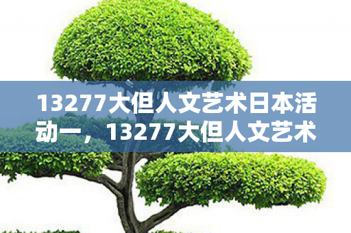 13277大但人文艺术日本活动一，13277大但人文艺术日本活动，探索日本文化的独特魅力