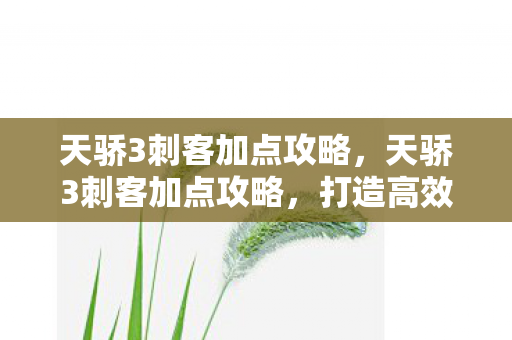 天骄3刺客加点攻略，天骄3刺客加点攻略，打造高效刺杀机器
