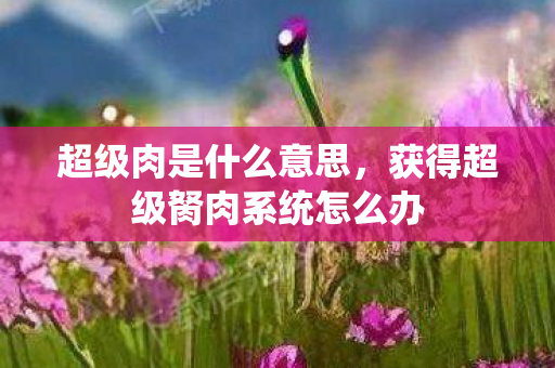 超级肉是什么意思，获得超级胬肉系统怎么办