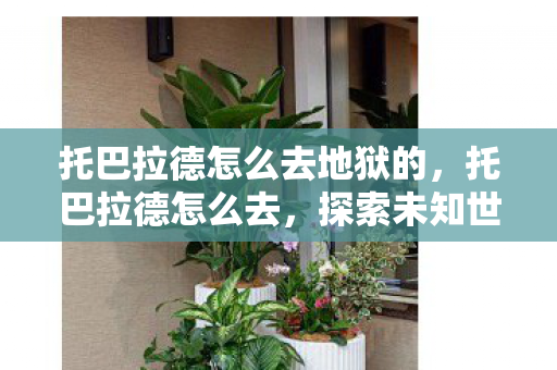 托巴拉德怎么去地狱的，托巴拉德怎么去，探索未知世界的旅行指南