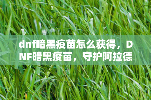 dnf暗黑疫苗怎么获得，DNF暗黑疫苗，守护阿拉德大陆的新防线