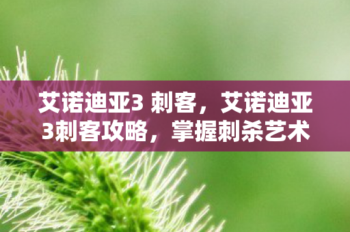 艾诺迪亚3 刺客，艾诺迪亚3刺客攻略，掌握刺杀艺术的精髓
