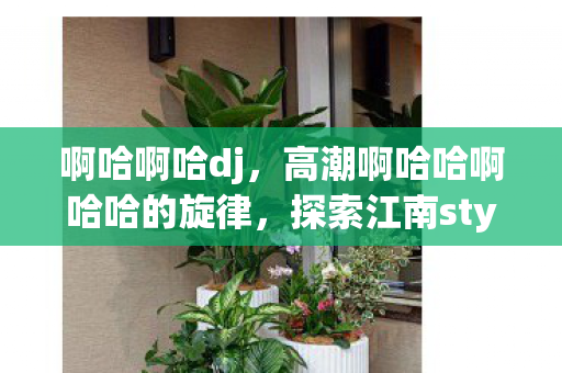 啊哈啊哈dj，高潮啊哈哈啊哈哈的旋律，探索江南style的魔力