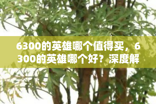 6300的英雄哪个值得买，6300的英雄哪个好？深度解析与推荐