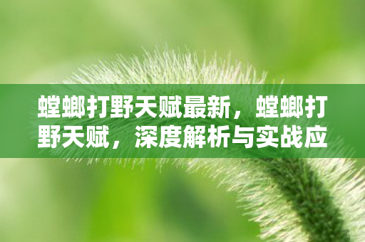螳螂打野天赋最新，螳螂打野天赋，深度解析与实战应用