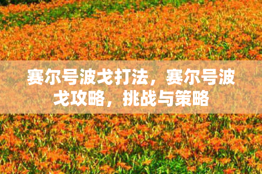 赛尔号波戈打法，赛尔号波戈攻略，挑战与策略