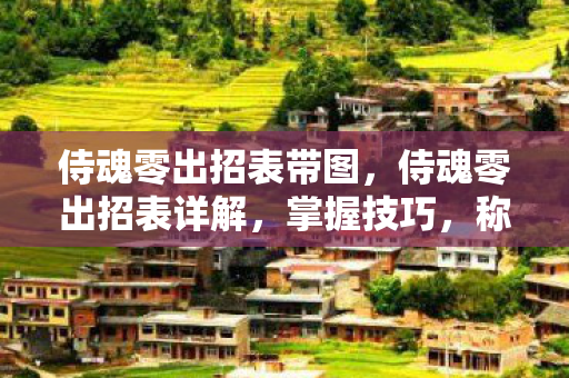 侍魂零出招表带图，侍魂零出招表详解，掌握技巧，称霸战场