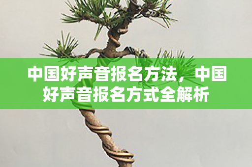 中国好声音报名方法，中国好声音报名方式全解析