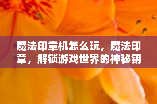 魔法印章机怎么玩，魔法印章，解锁游戏世界的神秘钥匙