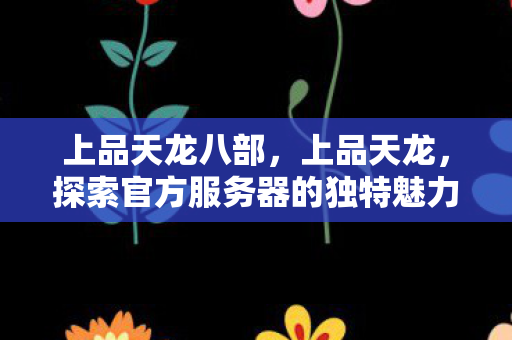 上品天龙八部，上品天龙，探索官方服务器的独特魅力与优势