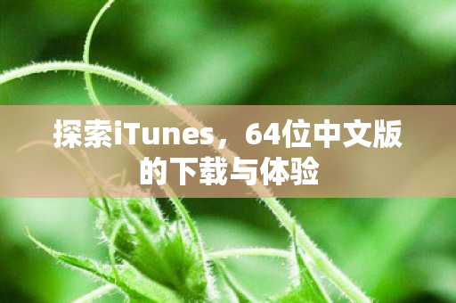 探索iTunes，64位中文版的下载与体验