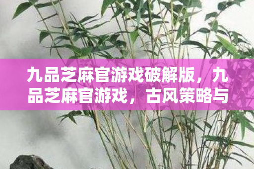 九品芝麻官游戏破解版，九品芝麻官游戏，古风策略与权谋的完美结合