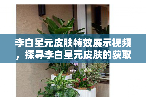 李白星元皮肤特效展示视频，探寻李白星元皮肤的获取之道