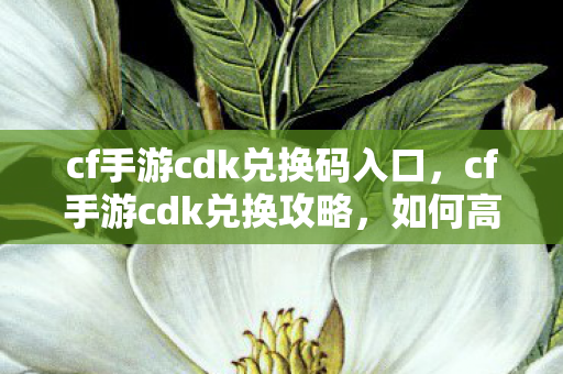 cf手游cdk兑换码入口,cf手游cdk兑换攻略,如何高效兑换与使用CDK cf手游cdk兑换码入口,cf手游cdk兑换攻略,如何高效兑换与使用CDK