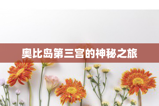 奥比岛第三宫的神秘之旅