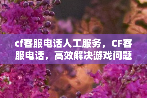 cf客服电话人工服务，CF客服电话，高效解决游戏问题的关键